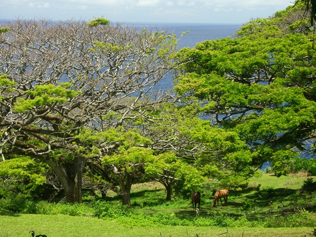 Click to See Next Image