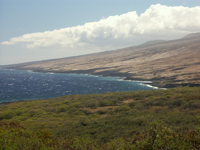 Click to See Next Image