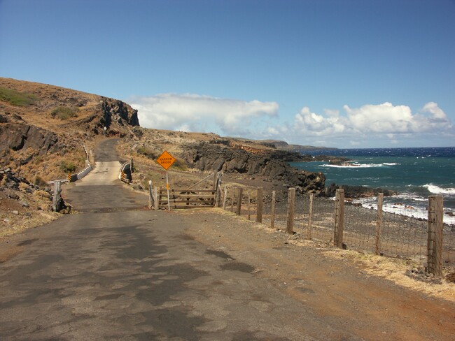 Click to See Next Image