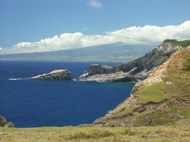 Click to See Next Image