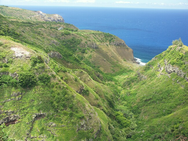 Click to See Next Image