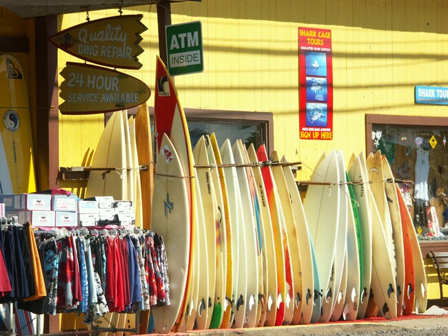 Click to See Next Image