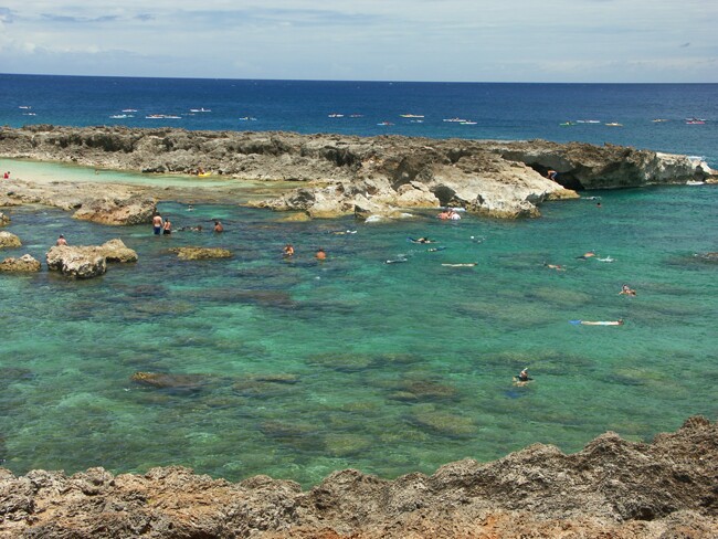 Click to See Next Image