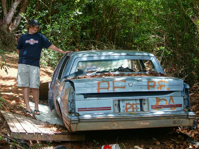 Click to See Next Image