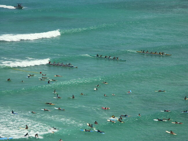 Click to See Next Image