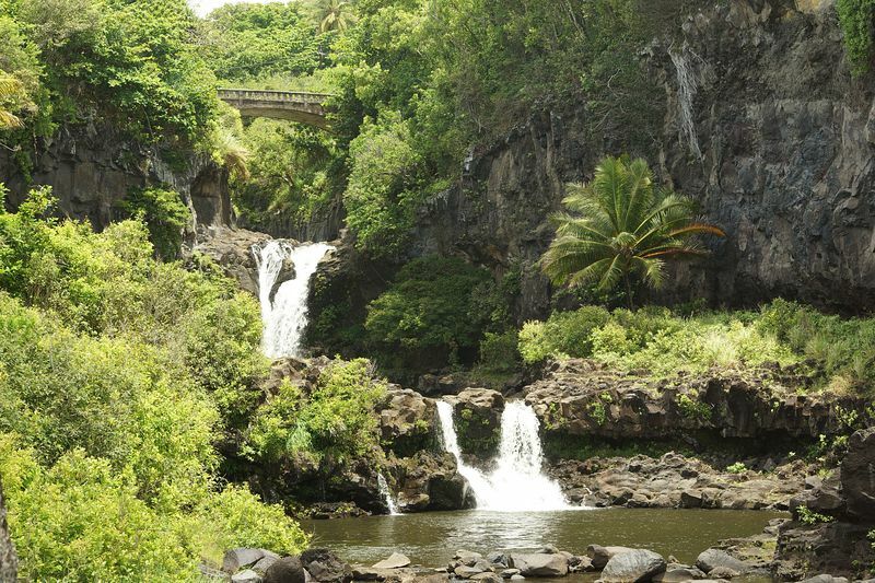 Click to See Next Image