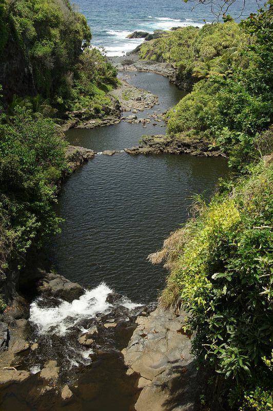 Click to See Next Image