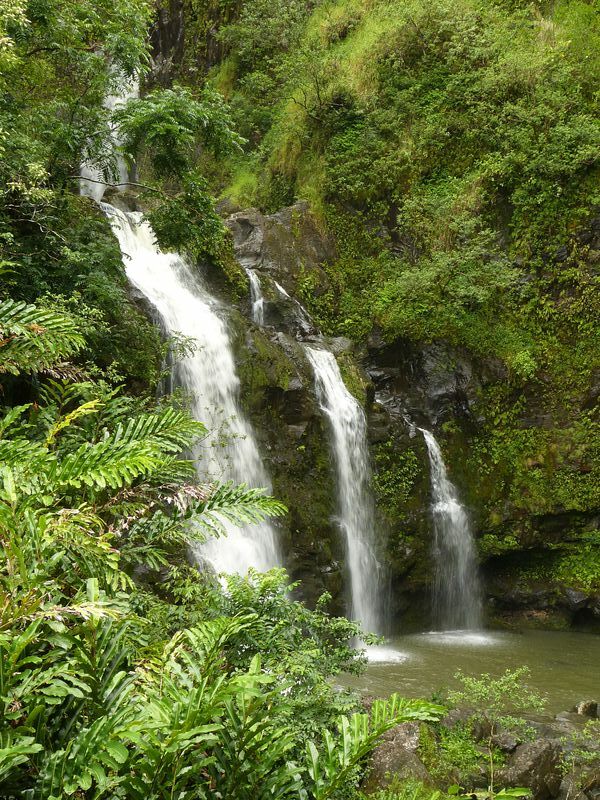 Click to See Next Image