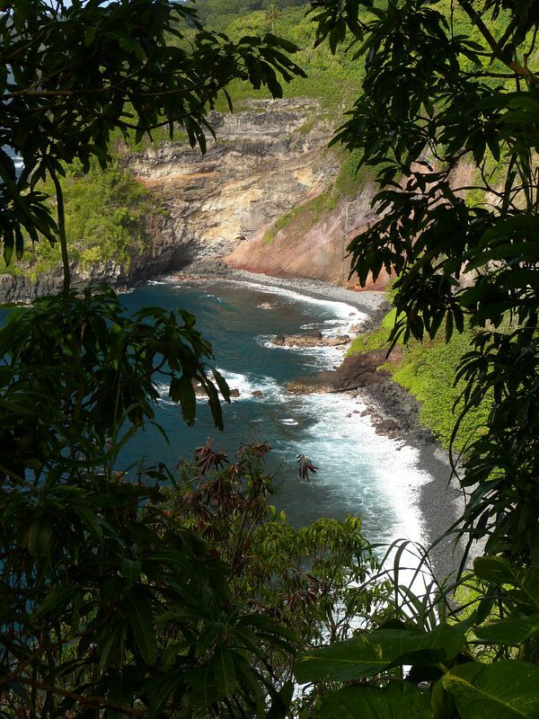 Click to See Next Image