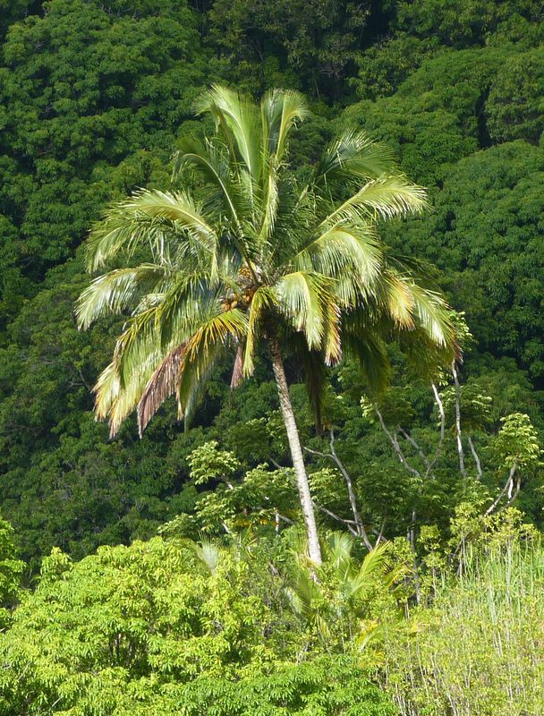 Click to See Next Image