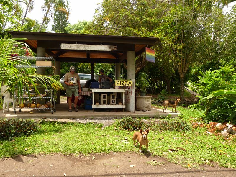 Click to See Next Image