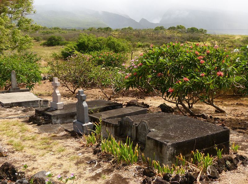 Click to See Next Image