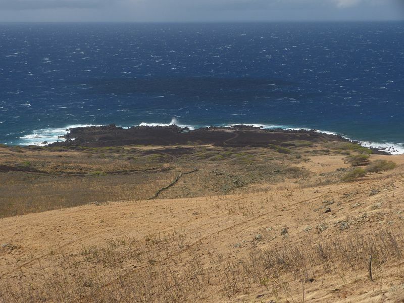 Click to See Next Image