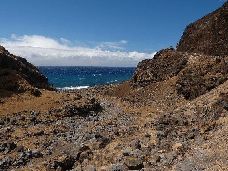 Click to See Next Image