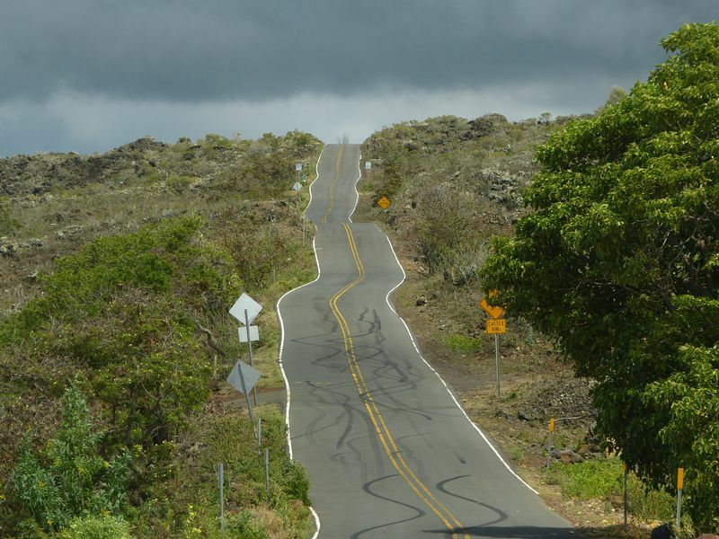 Click to See Next Image