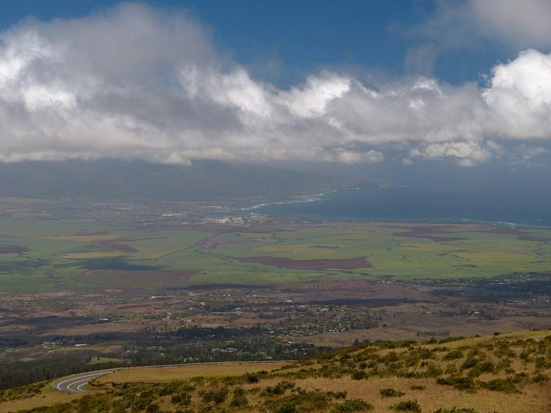 Click to See Next Image