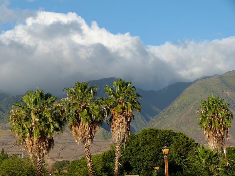 Click to See Next Image