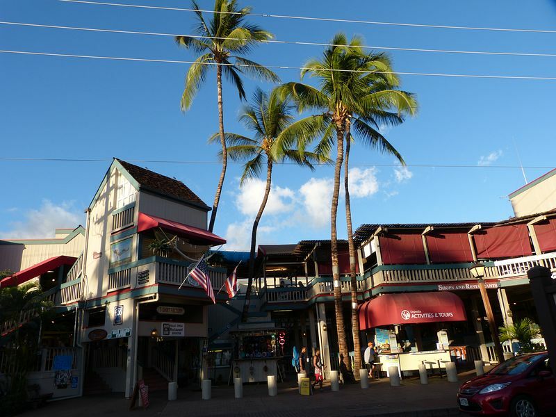 Click to See Next Image