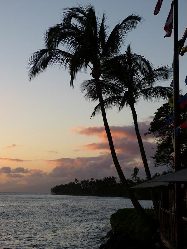 Click to See Next Image