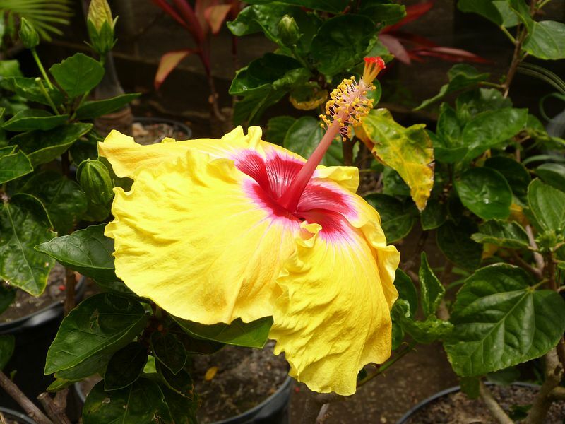 Click to See Next Image