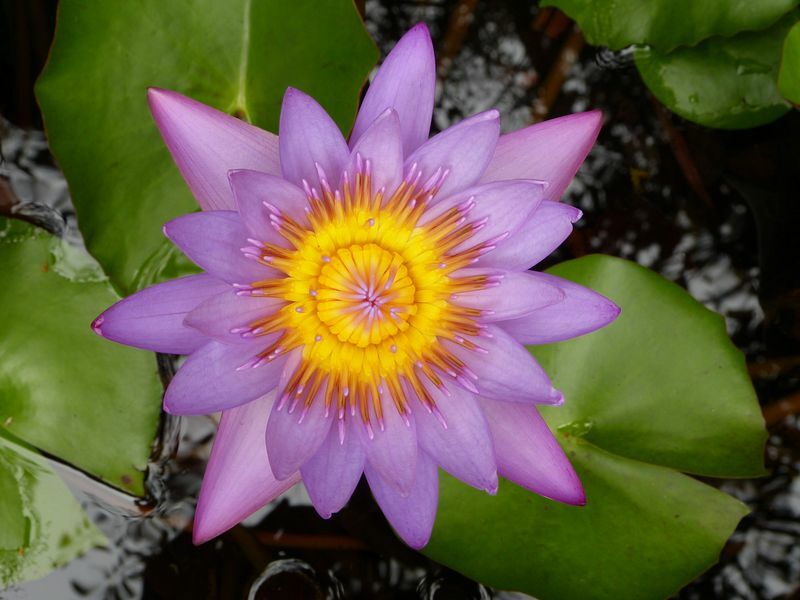 Click to See Next Image