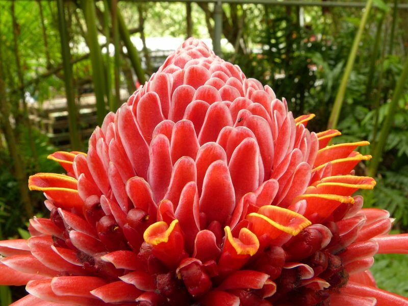 Click to See Next Image