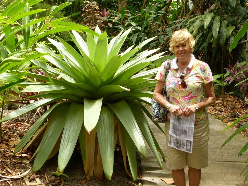 Click to See Next Image