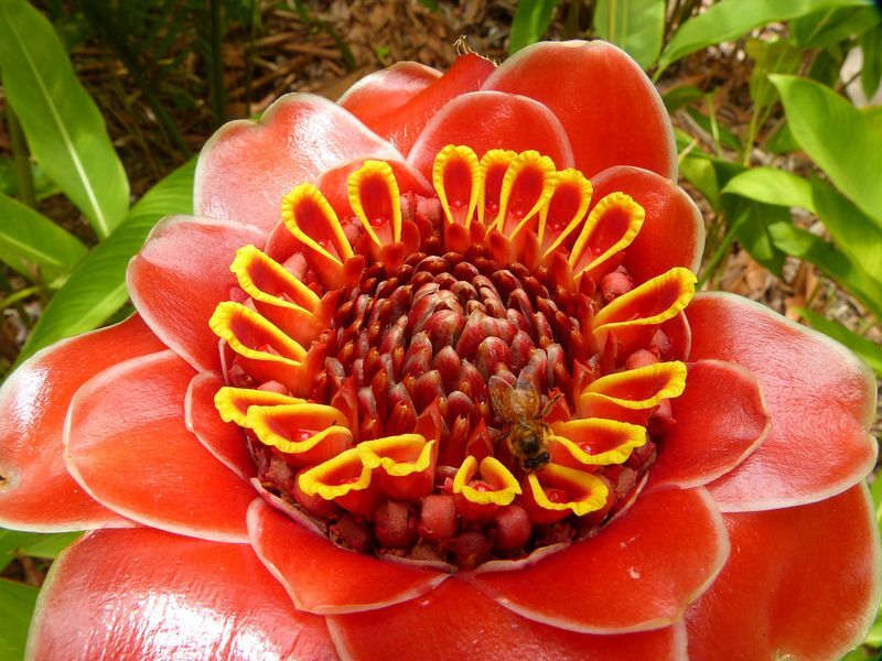 Click to See Next Image