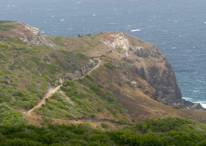 Click to See Next Image