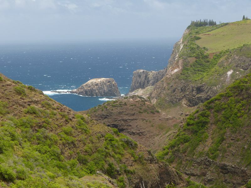 Click to See Next Image