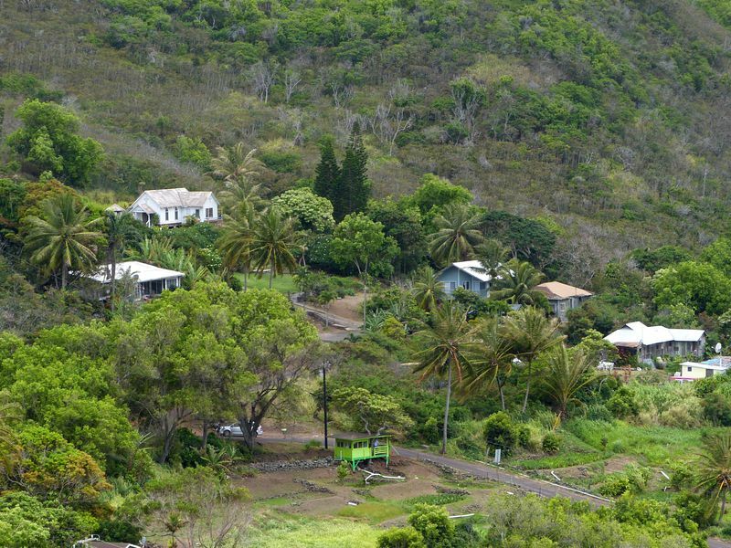 Click to See Next Image