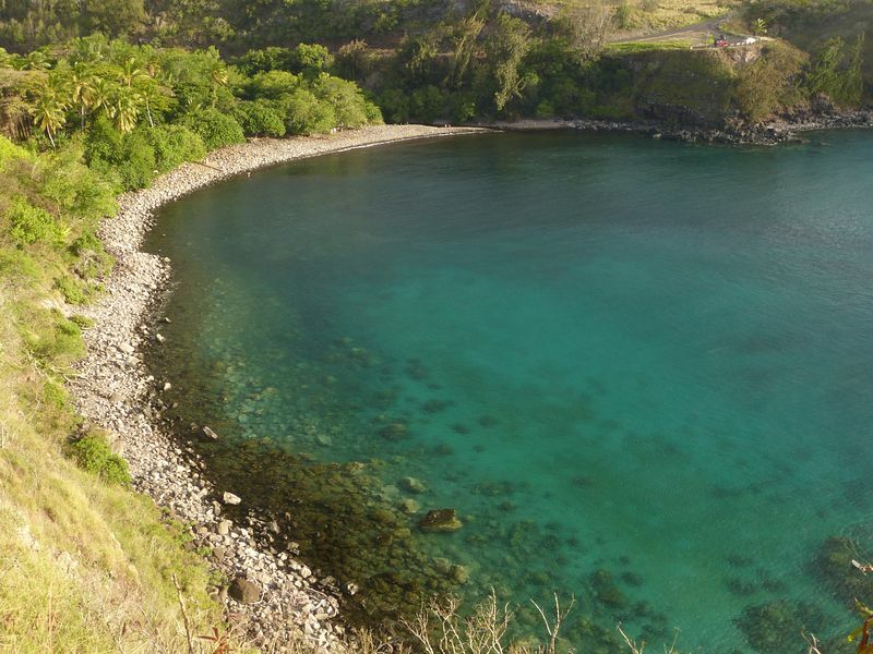 Click to See Next Image