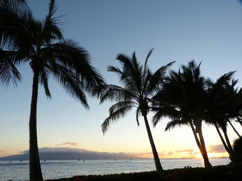 Click to See Next Image