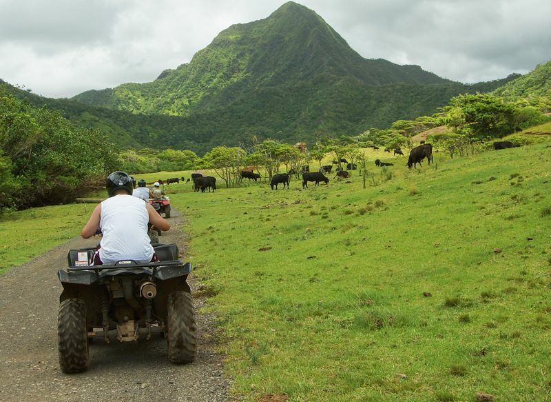 Click to See Next Image