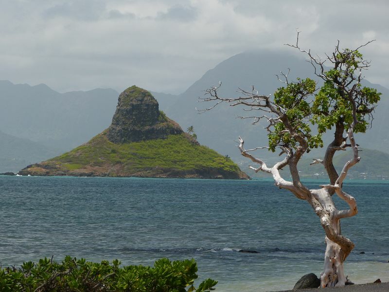 Click to See Next Image