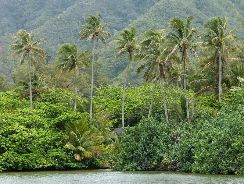 Click to See Next Image