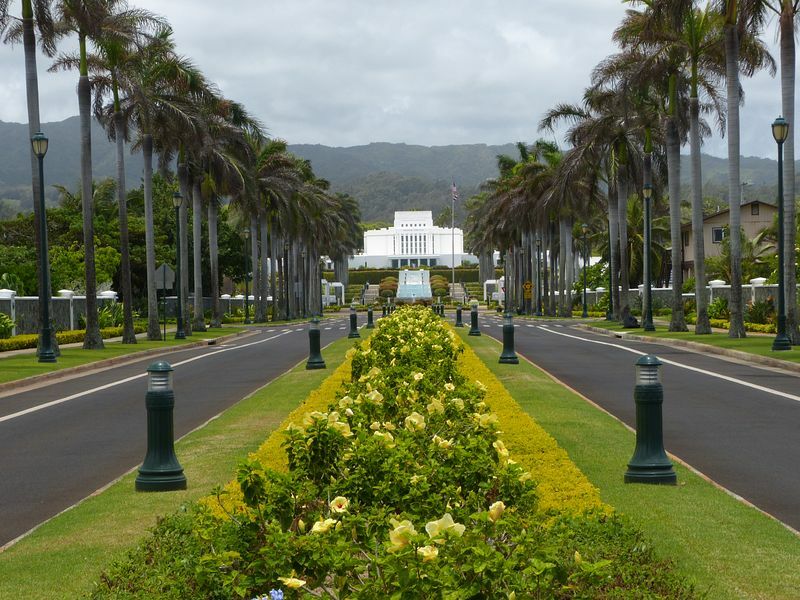 Click to See Next Image