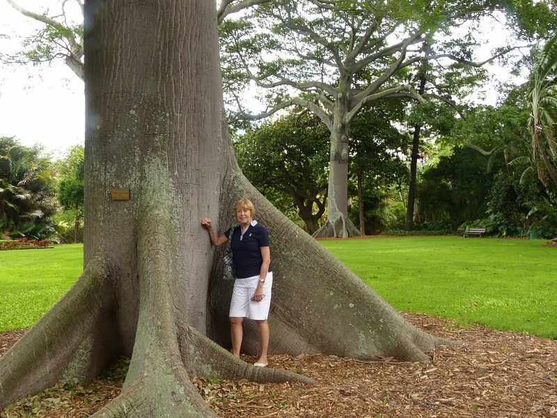 Click to See Next Image