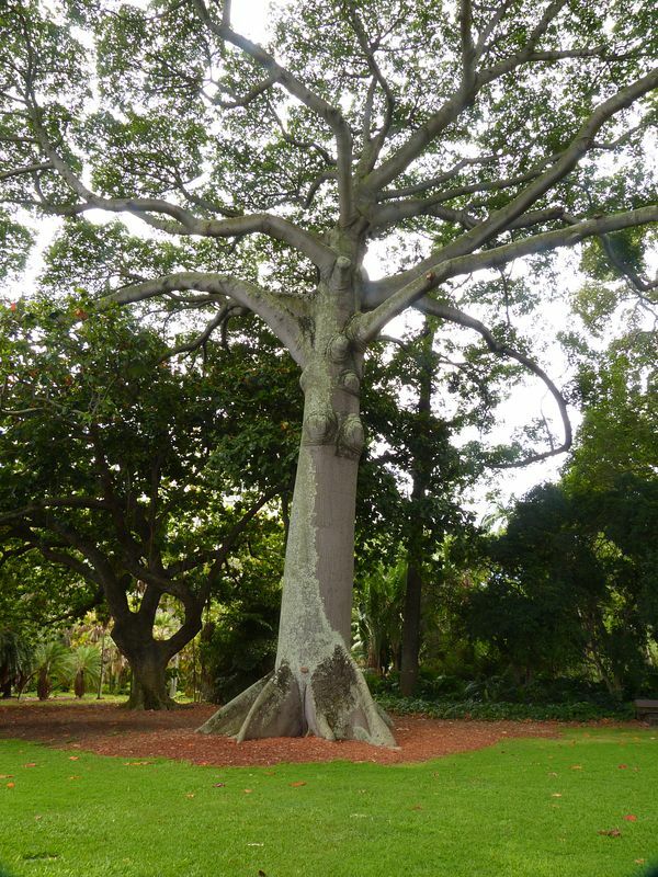 Click to See Next Image