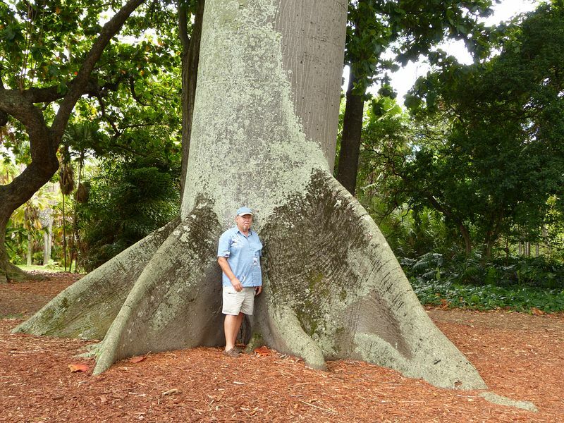 Click to See Next Image