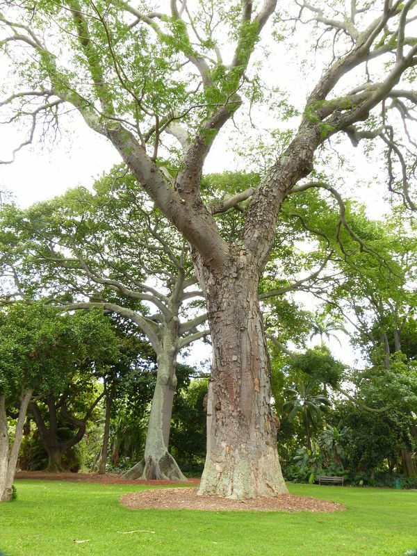 Click to See Next Image