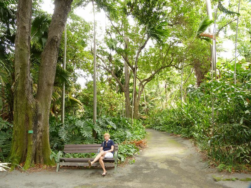 Click to See Next Image