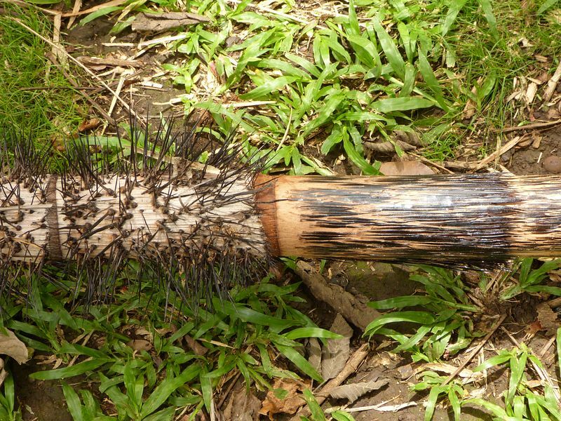 Click to See Next Image