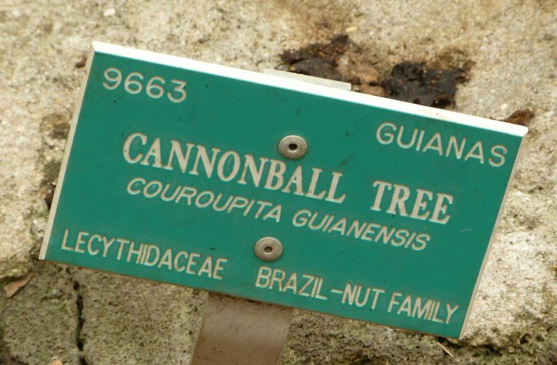 Click to See Next Image