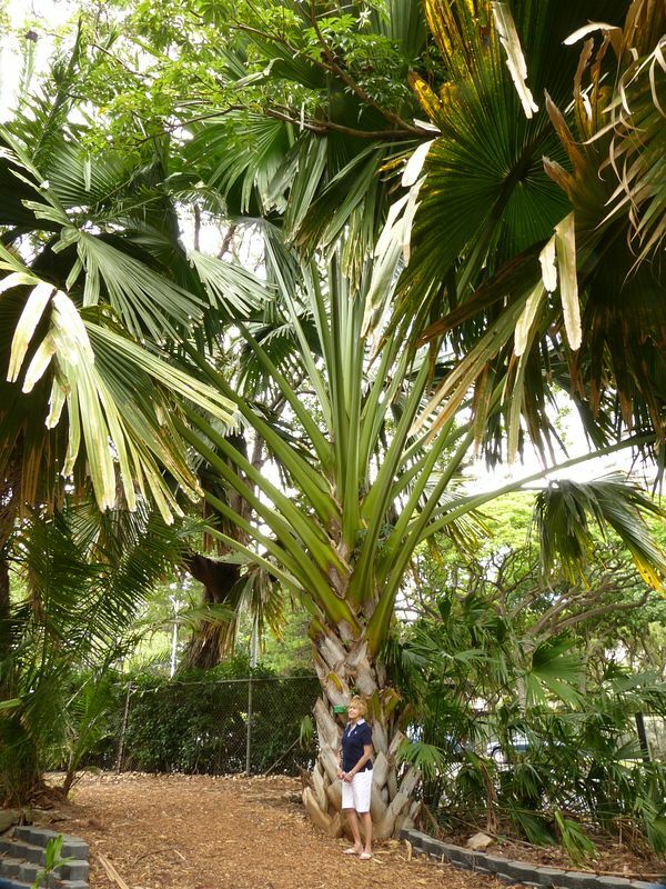 Click to See Next Image