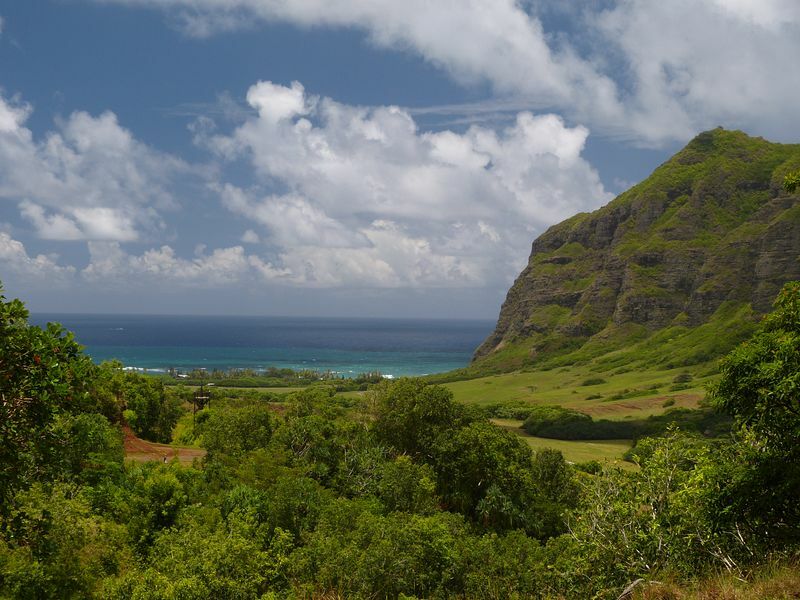 Click to See Next Image