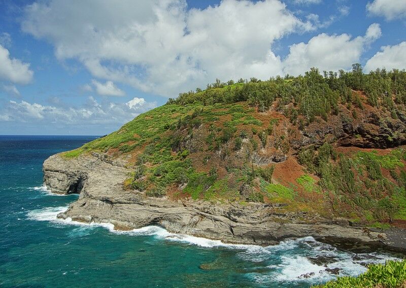 Click to See Next Image