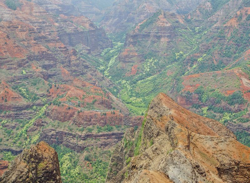 Click to See Next Image