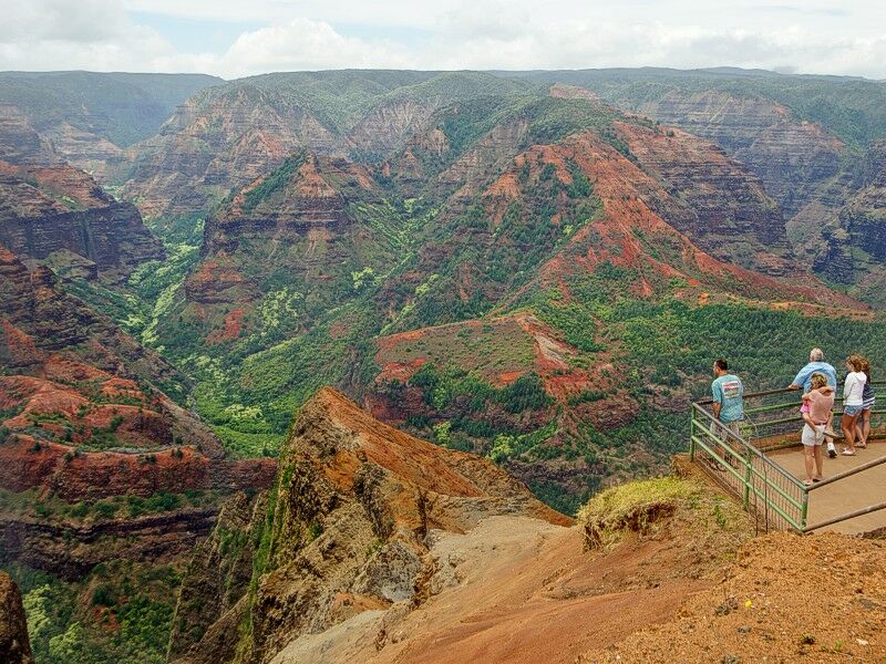 Click to See Next Image