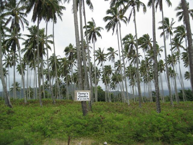 Click to See Next Image